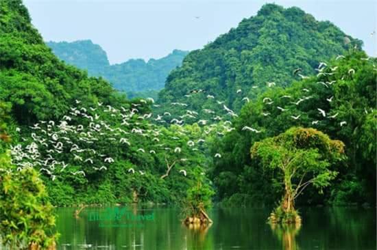 Van Lam Nha Nghi Bolero 아파트 외부 사진