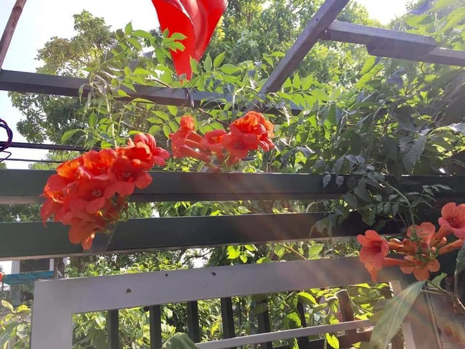 Van Lam Nha Nghi Bolero 아파트 외부 사진