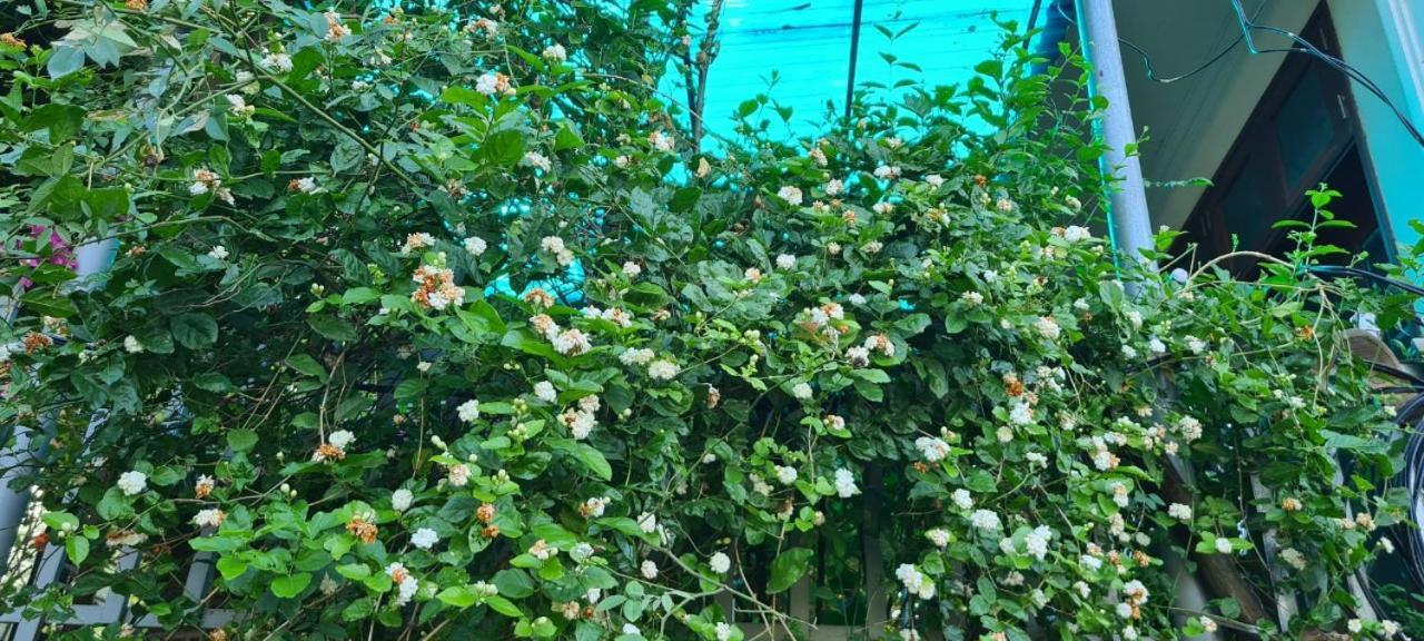 Van Lam Nha Nghi Bolero 아파트 외부 사진