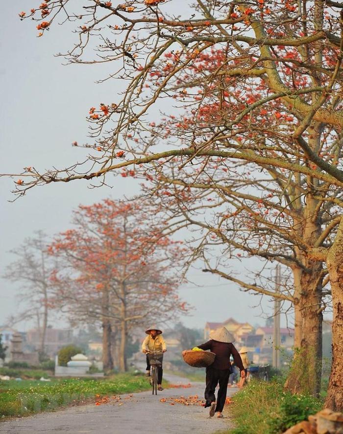 Van Lam Nha Nghi Bolero 아파트 외부 사진